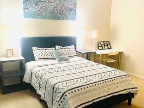 3100 Walnut Bend Lane 309, Houston TX 77042