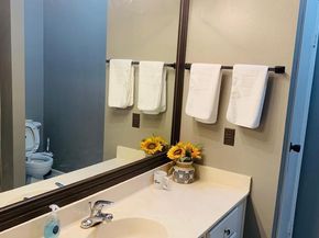 3100 Walnut Bend Lane 309, Houston TX 77042