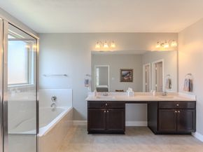 24322 S Newcastle Bay Trail, Spring TX 77389