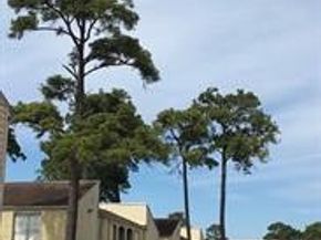 6200 W Tidwell Road 501, Houston TX 77092