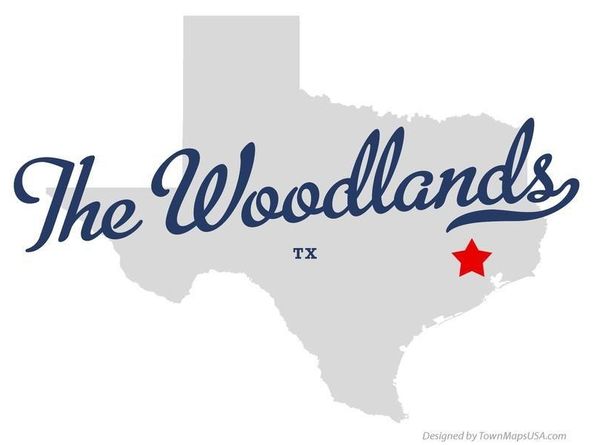 101 N Villa Oaks Drive, The Woodlands TX 77382