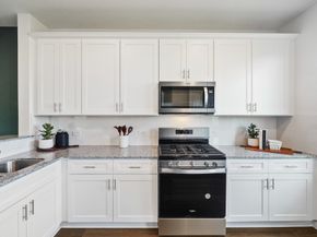 16117 Sepia Manor Street, Conroe TX 77302