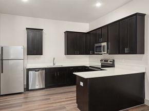 4509 Mount Vernon Street 8, Houston TX 77006