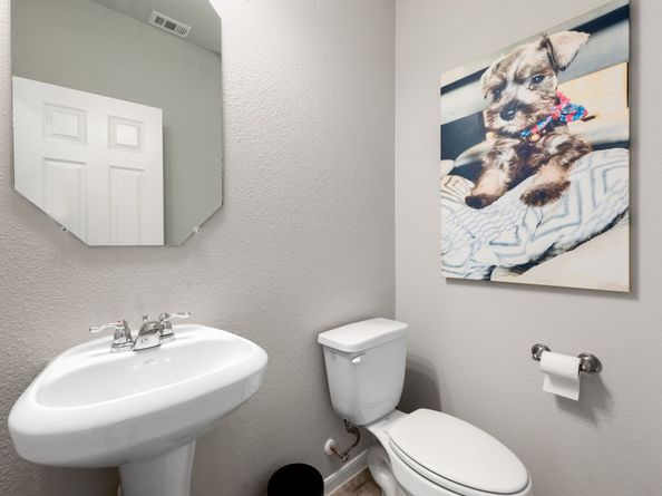6518 Macroom Meadows Lane, Houston TX 77048