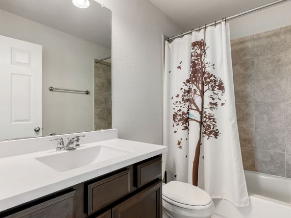 6518 Macroom Meadows Lane, Houston TX 77048