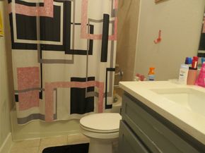 10962 Swang Link Drive, Houston TX 77043