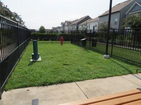 10962 Swang Link Drive, Houston TX 77043