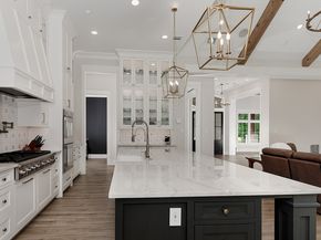 27003 Hidden Grove Landing Drive, Spring TX 77386