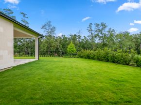 46 Aria Isle Drive, The Woodlands TX 77380