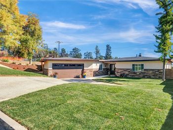 382 Alta Pine