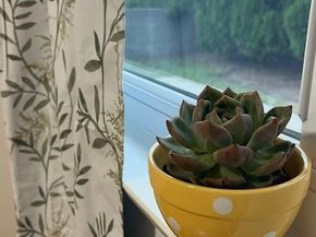 2497 Logan Street, Pomona CA 91767