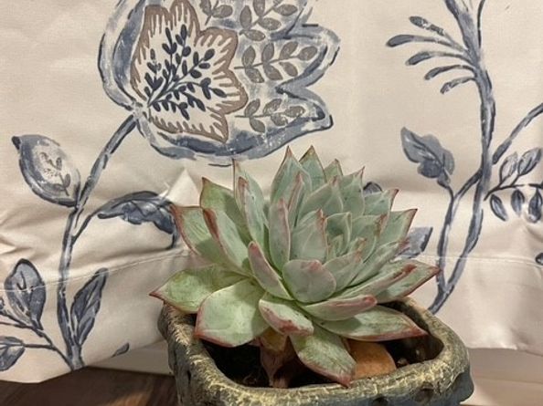 2497 Logan Street, Pomona CA 91767