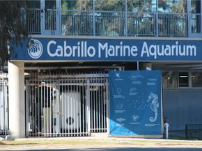 3409 S Pacific, San Pedro CA 90731