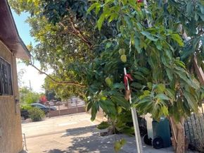 1915 E 78th, Los Angeles CA 90001