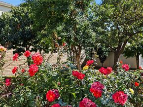 13816 Bessemer Street, Van Nuys CA 91401