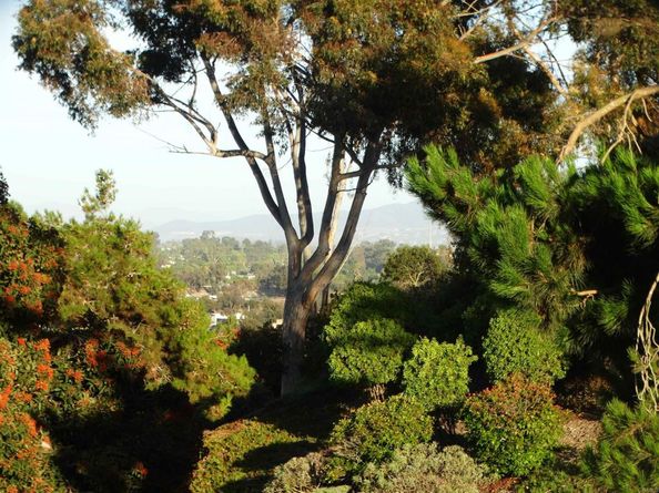 407 Via Ultimo, Encinitas CA 92024