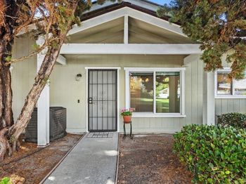 4369 Dowitcher Way
