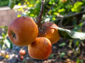 6261 Crystal Lake Ave, San Diego CA 92119