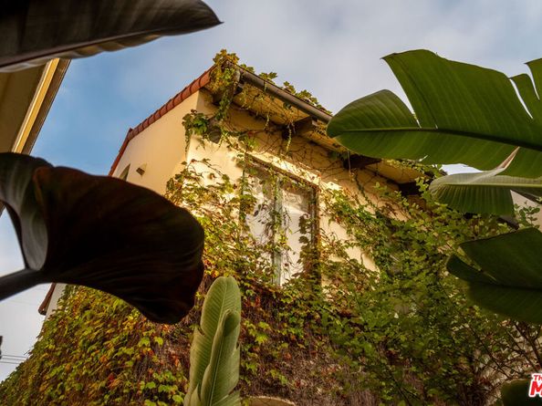 416 Carroll Canal, Venice CA 90291