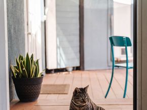 4427 Alumni Avenue, Los Angeles CA 90041