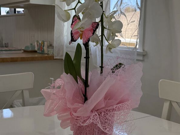 3810 S Dunsmuir Avenue, Los Angeles CA 90008