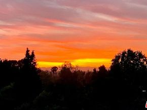 3631 Buena Park Drive, Studio City CA 91604