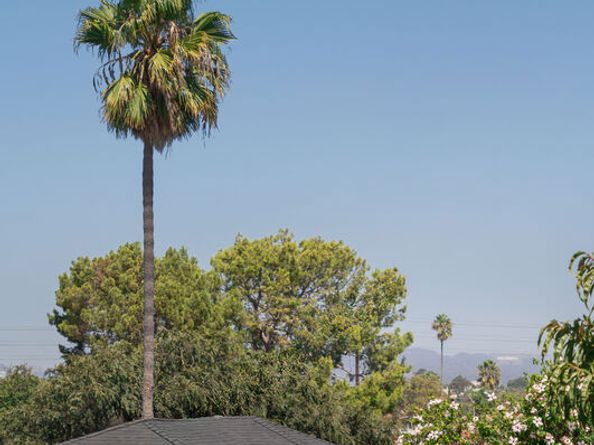 1812 S Dunsmuir Avenue, Los Angeles CA 90019