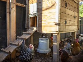 4535 Dudley Drive, Los Angeles CA 90032