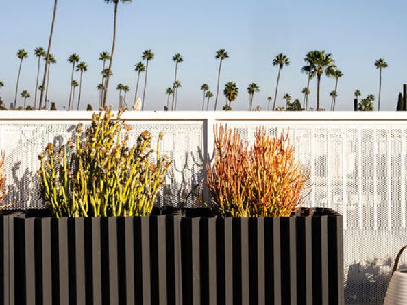 1826 Canyon Drive, Los Angeles CA 90028