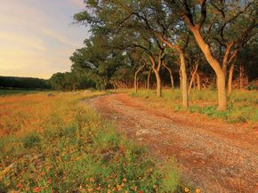 22200 Cross Timbers BND, Lago Vista TX 78645