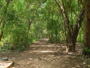 5302 N Scout Island CIR, Austin TX 78731