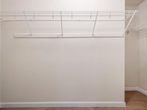 161 Segovia WAY, Pflugerville TX 78660