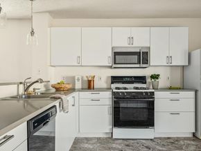 161 Segovia WAY, Pflugerville TX 78660