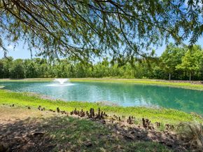 17912 Great Basin Ave, Pflugerville TX 78660