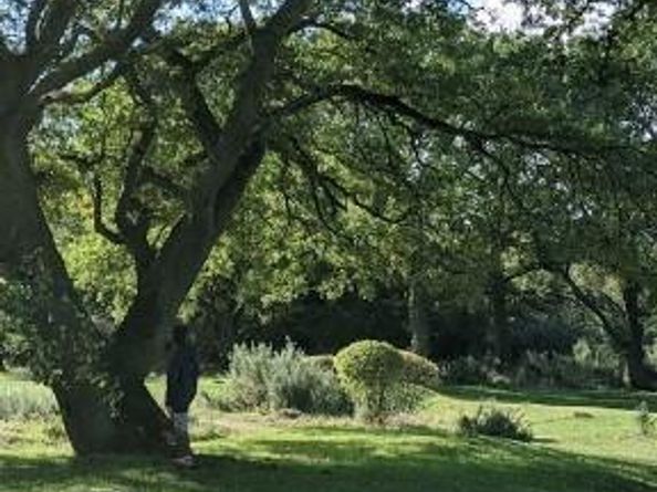 501 Texas Sky DR, Georgetown TX 78628