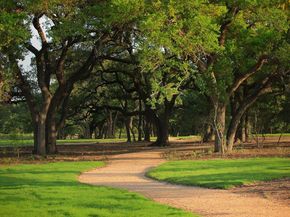 501 Texas Sky DR, Georgetown TX 78628