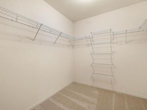 1504 Lady Grey Ave, Pflugerville TX 78660
