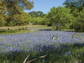 238 Jates Field BND, Liberty Hill TX 78642