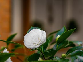 179 Oyster Pond Road, Alameda CA 94502