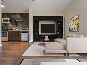 1900 Barton Springs RD 4013, Austin TX 78704