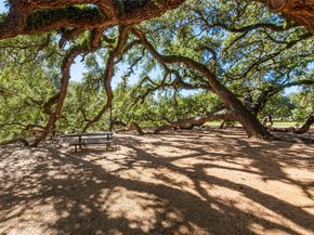 2924 Crawford Street, Houston TX 77004