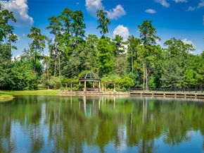 87 Mediterra Way, The Woodlands TX 77389