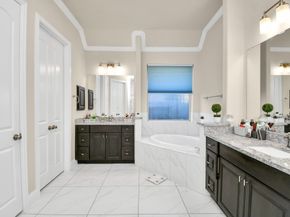 16906 Dalgety Court, Richmond TX 77407