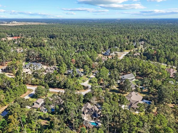 5346 Pine Wood Hills Court, Spring TX 77386