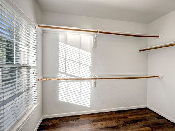 6206 Chestnut Peak Court, Kingwood TX 77345