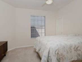 55 W Palmer Bend, The Woodlands TX 77381