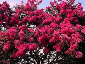 8417 Folkstone Lane, Houston TX 77075