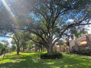 726 Country Place Drive C, Houston TX 77079