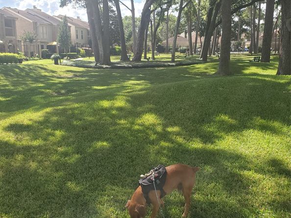 726 Country Place Drive C, Houston TX 77079