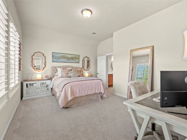 19079 Pinewood Grove Trail, New Caney TX 77357